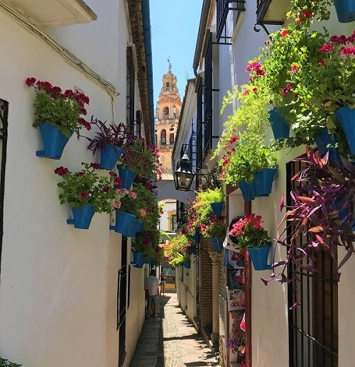 スペイン南部の「コルドバ」にあるユダヤ人街「花の小道」